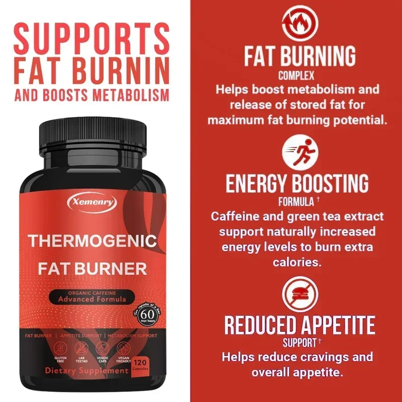 Dukungan Metabolisme - Dukunga - Herbal Tea For Wellness ulasan dan harga